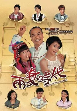 两妻时代国语