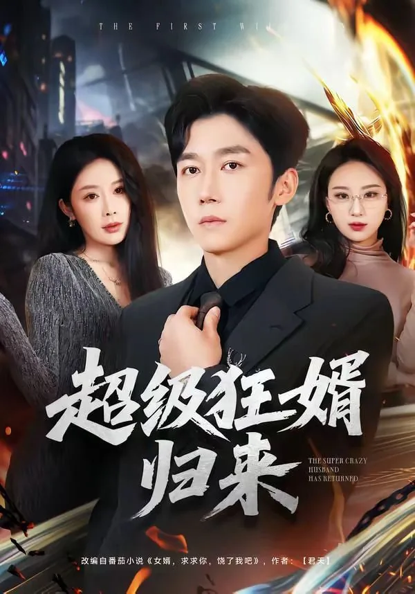 超级狂婿归来免费阅读