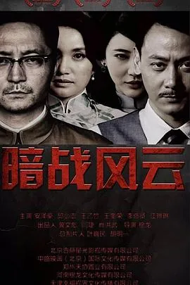 暗战风云40集全集免费播放