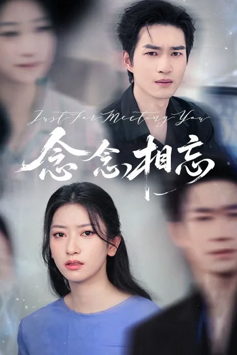 念念相忘不如相见