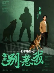 心率临界点谁都别惹我免费