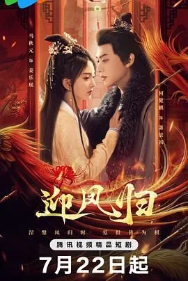 迎凤归全集下载方法
