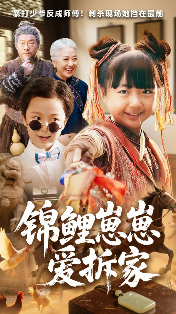锦鲤崽崽爱拆家演员表大全