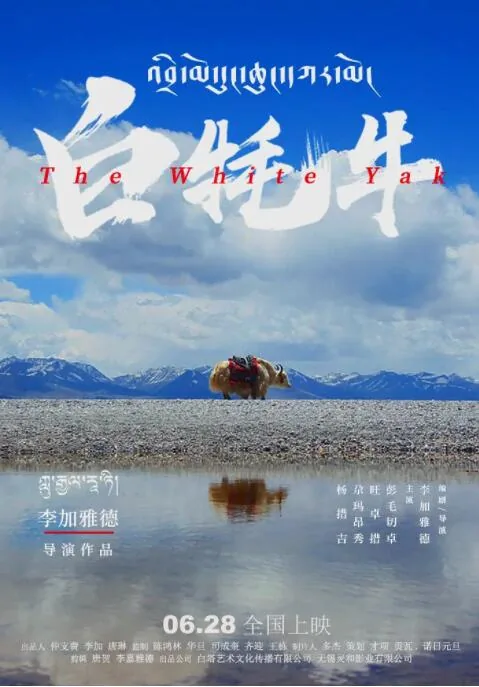 白牦牛为啥这么珍贵