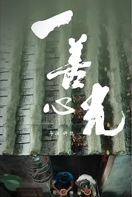 一善心光电视剧
