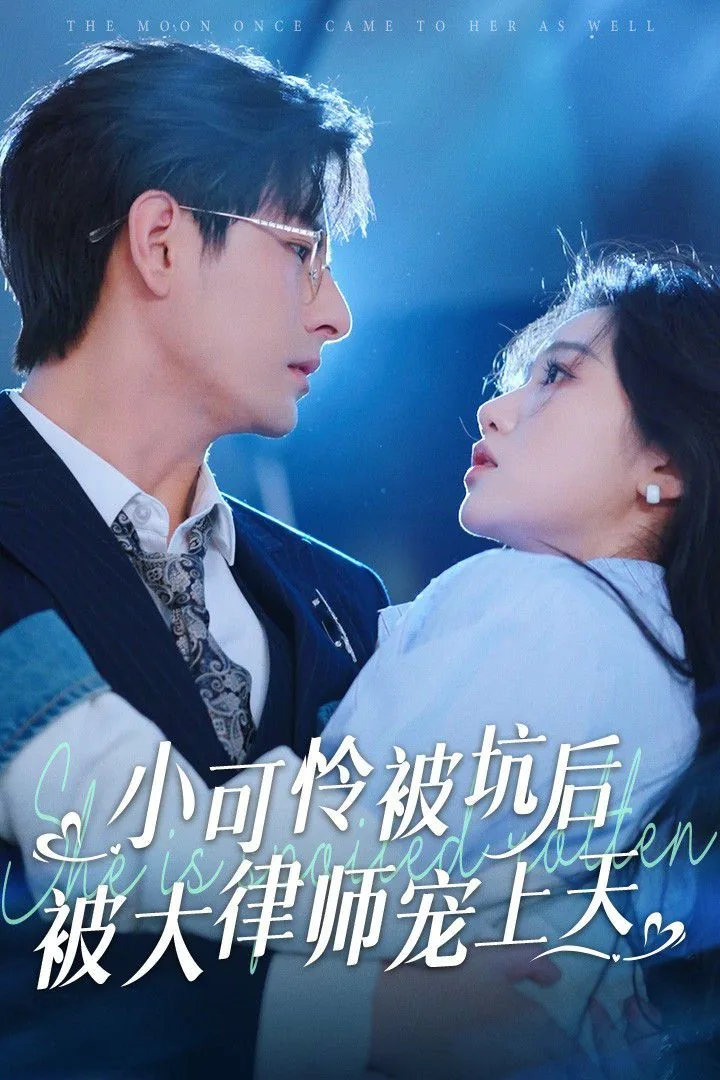 小可怜被坑后被大律师宠上天男主