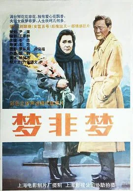 梦非梦在诗坛地位