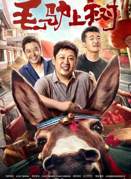 毛驴上树在线观看