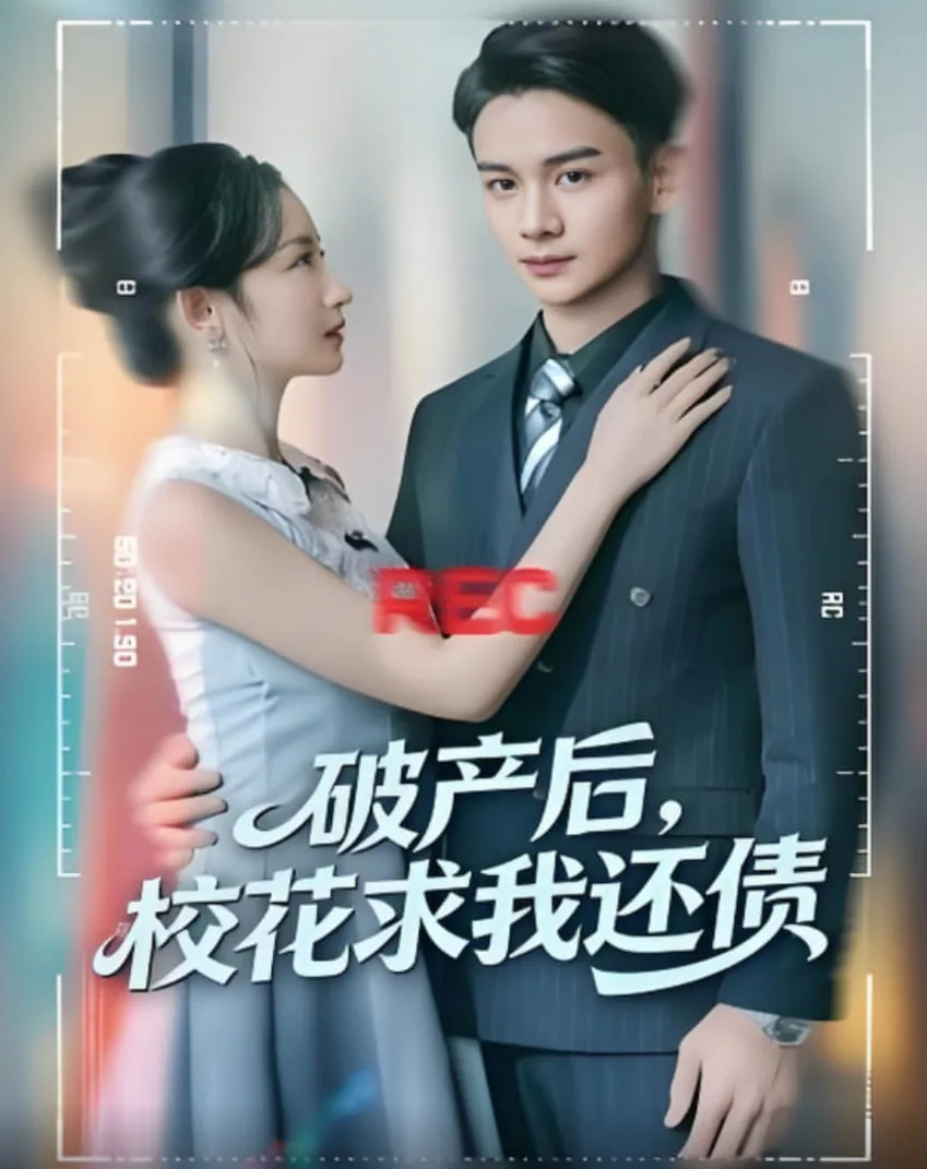 破产还债小说