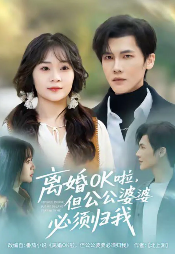 离婚OK啦,但公公婆婆必须归我小说免费阅读