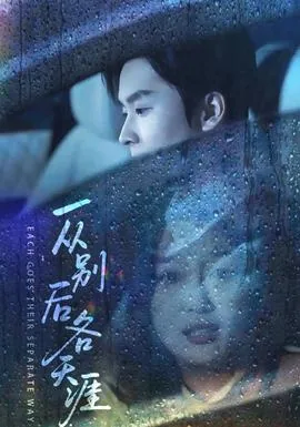 一从别后各天涯短剧完整版