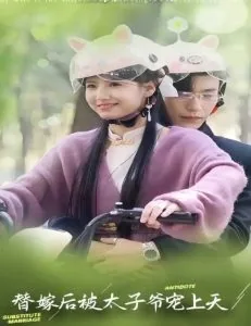 替嫁后被太子爷宠上天剧情简介