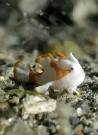 纪录片海底世界全集