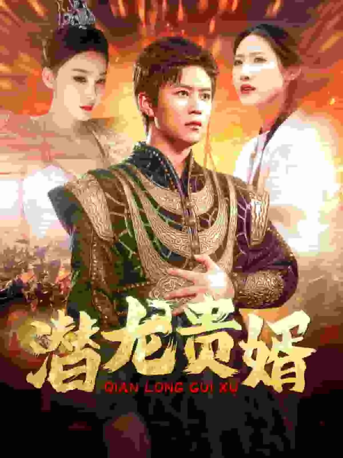 潜龙贵婿演员