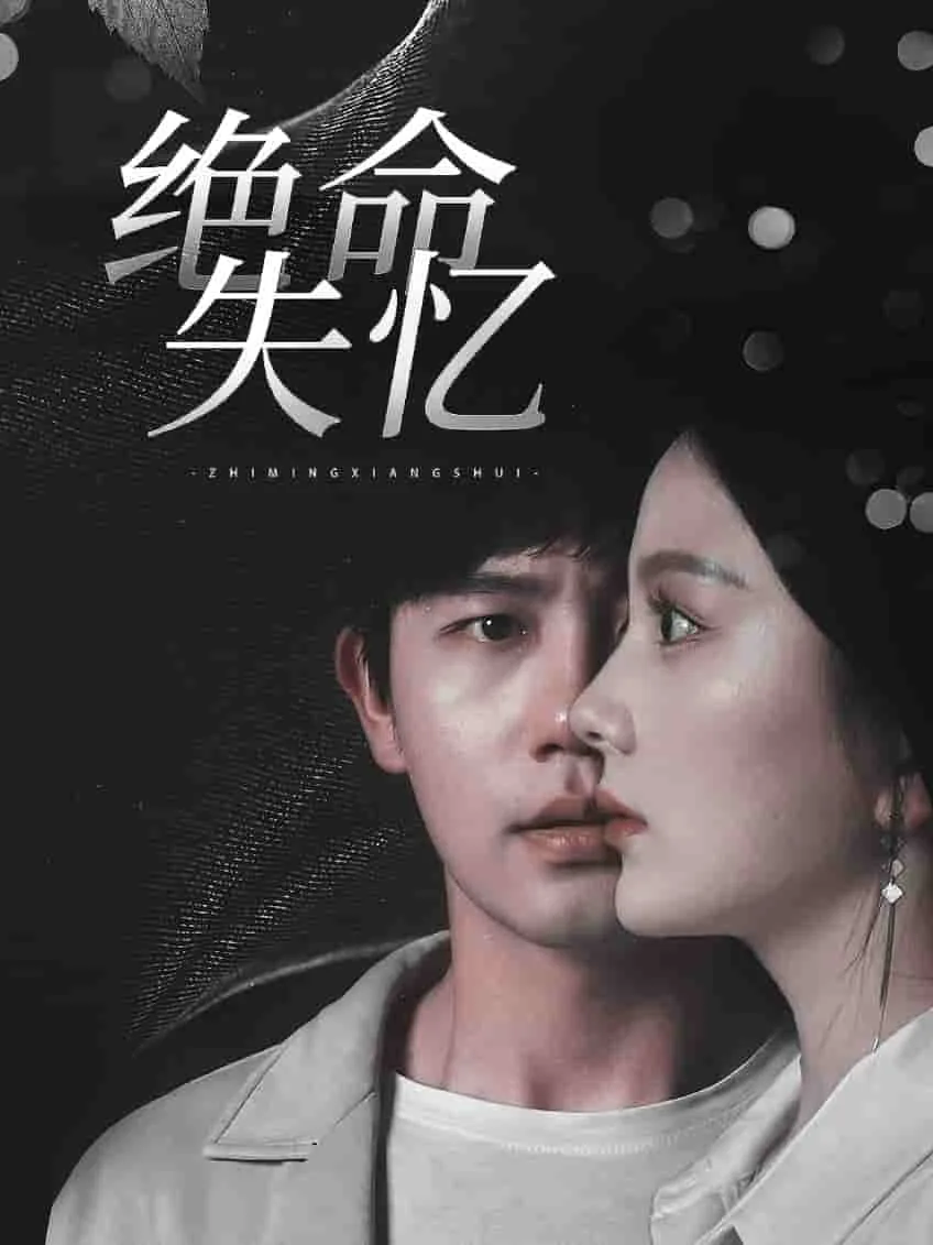 绝命失忆解读