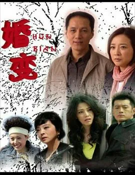 婚变完整视频