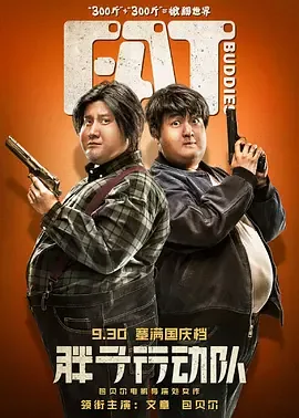 胖子行动队读后感