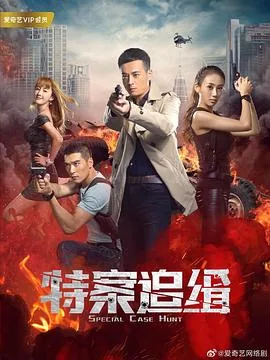 特案追缉幕后老板