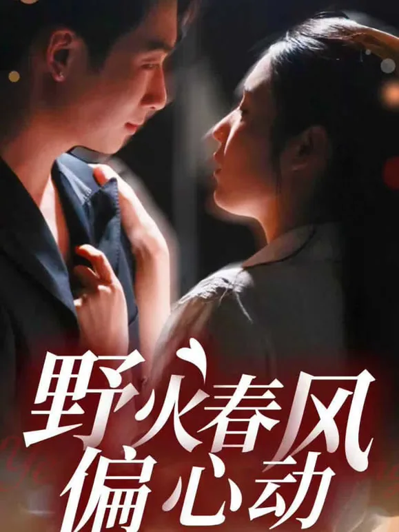 野火春风斗古城老电影