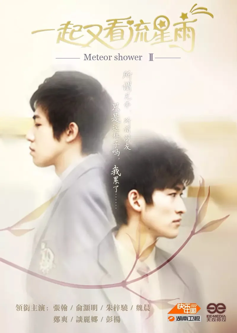 一起又看流星雨电视剧免费观看