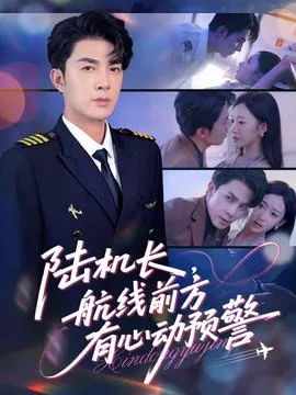 陆机长航线前方有心动预警小说