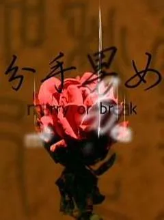 分手男女2006