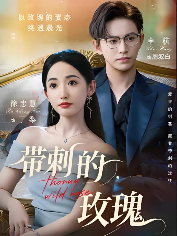 带刺的玫瑰可以形容男人吗