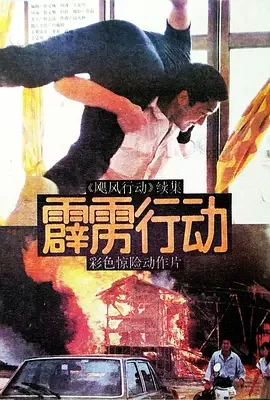 霹雳行动菩萨心肠