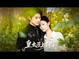 小说皇太子
