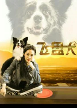 飞盘犬电影