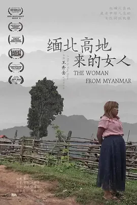缅北的事