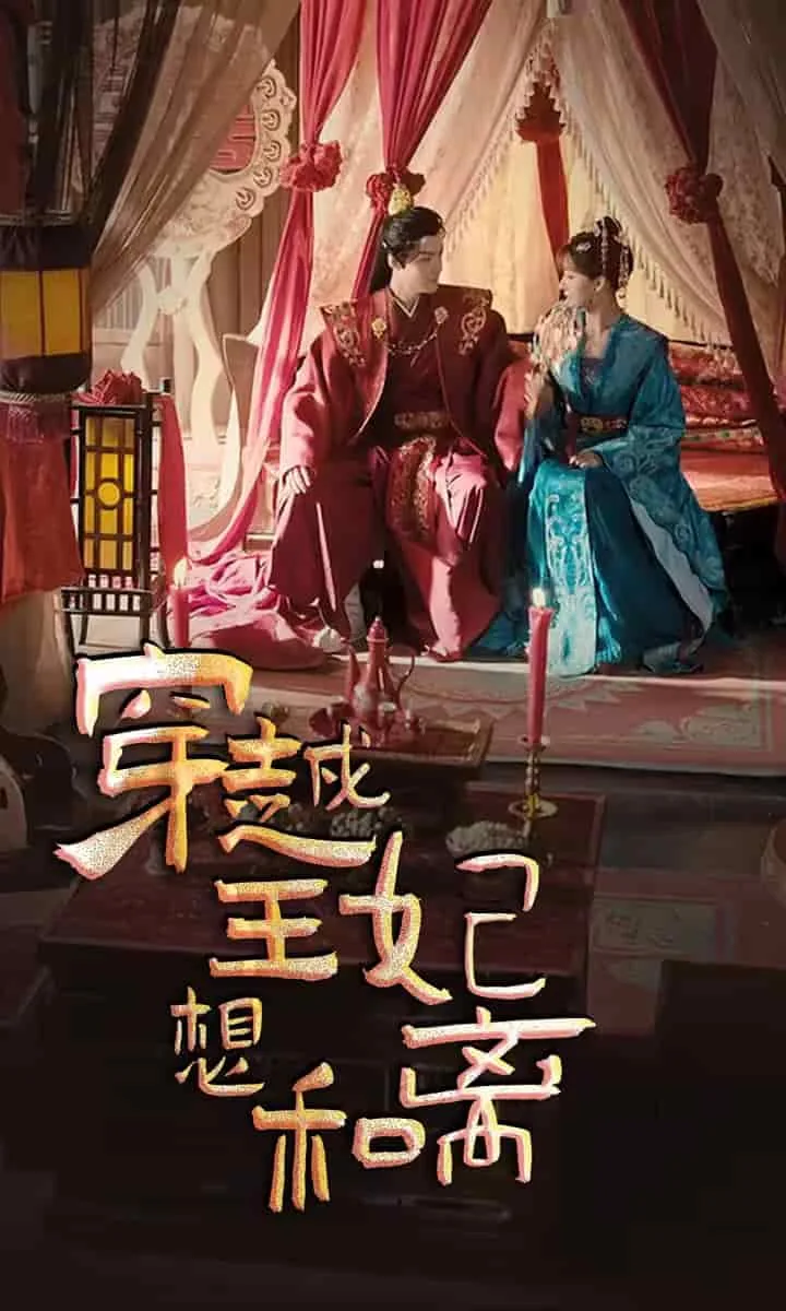 穿越王妃要和离的小说