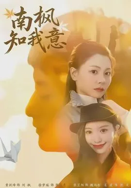 南枫知我意电视剧