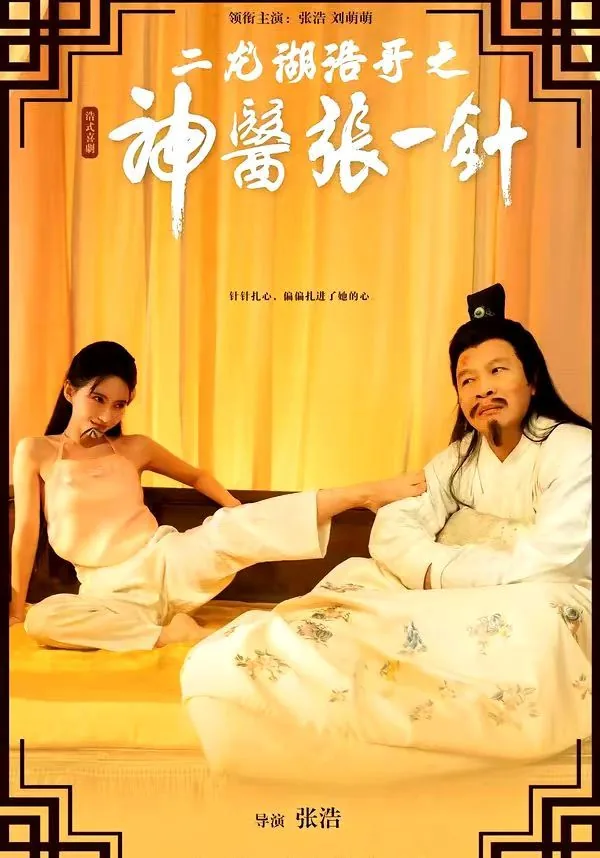二龙湖浩哥之神医张一针免费播放