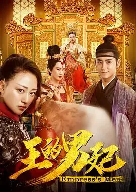 王的男妃小说