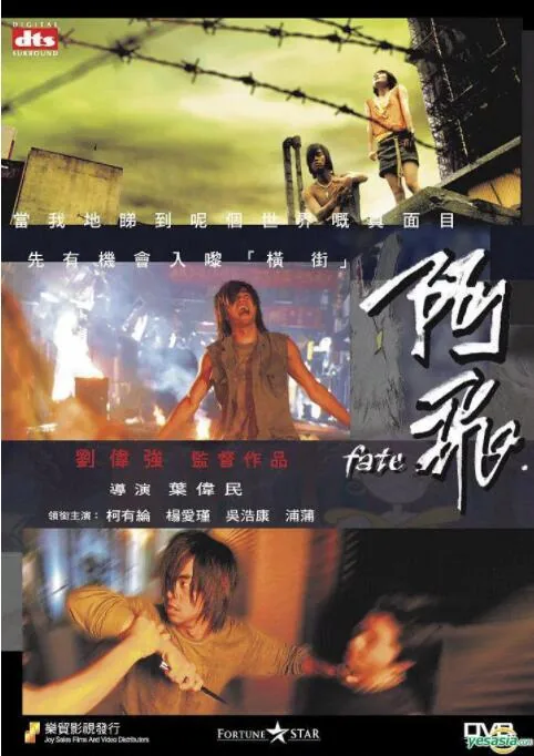 阿飞哥抓鱼