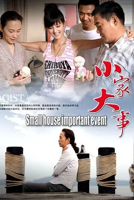 小家大事剧情分集介绍