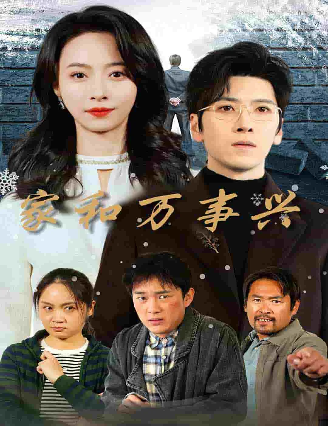 家和万事兴电视剧原声带