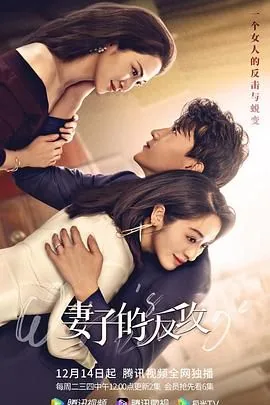 妻子的反攻电视剧全集免费