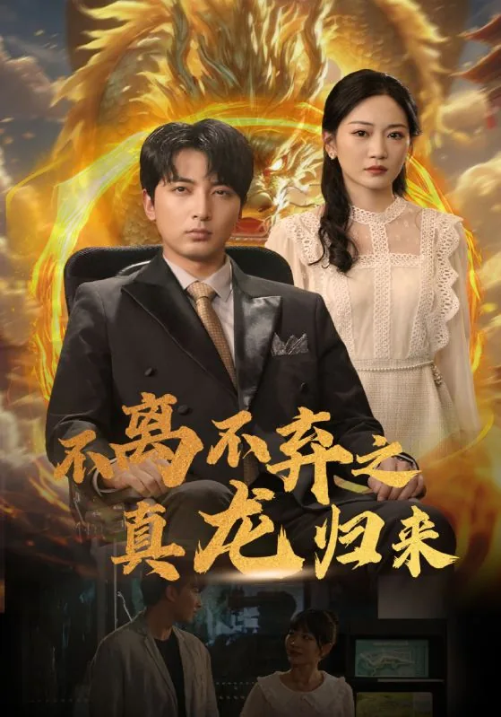 不离不弃之真龙归来演员表