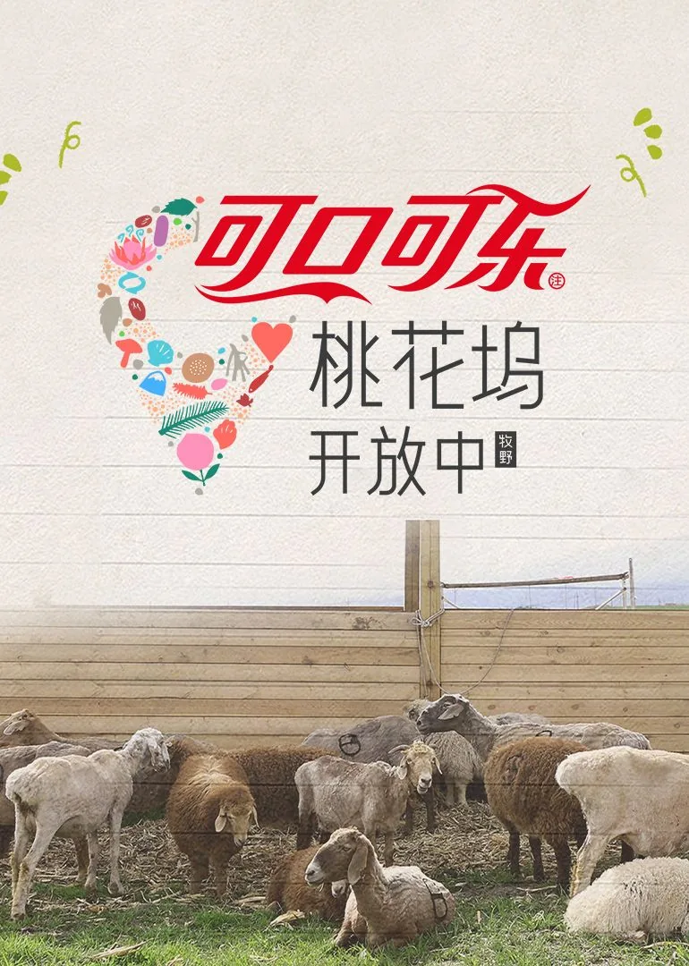 桃花坞开放中第四季播出时间
