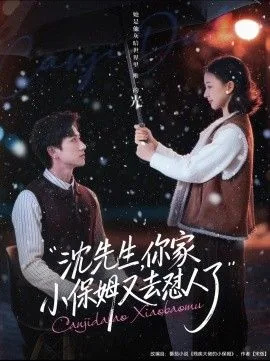 沈先生你家小保姆又去怼人了txt