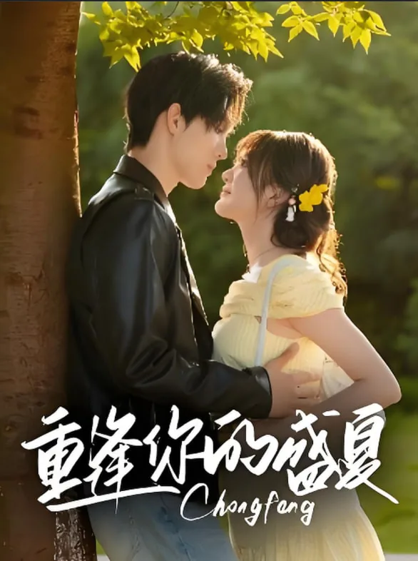 重逢你的盛夏完整版免费观看