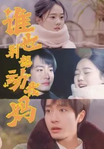 谁也别想动我妈啊小说