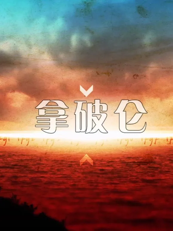 一代枭雄拿破仑多少钱
