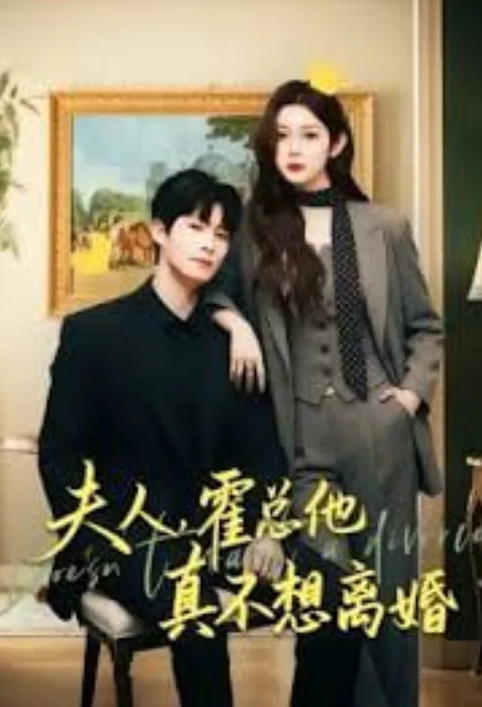 夫人,霍总他真不想离婚男主是谁