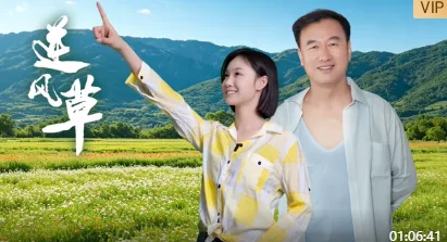 逆风草方格空间
