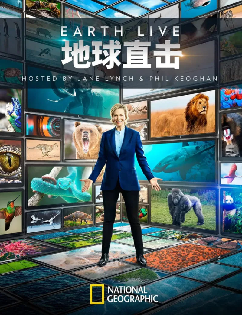 地球高清直播