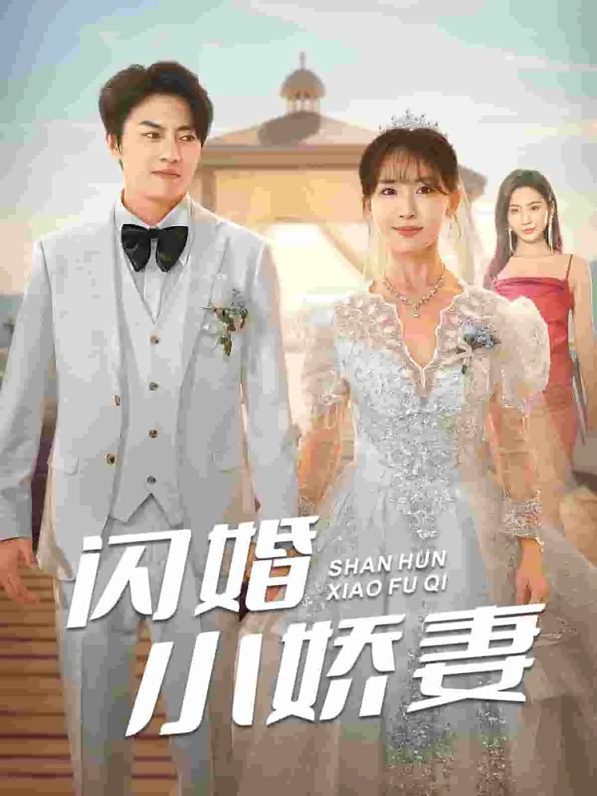 闪婚小娇妻被全家娇宠了