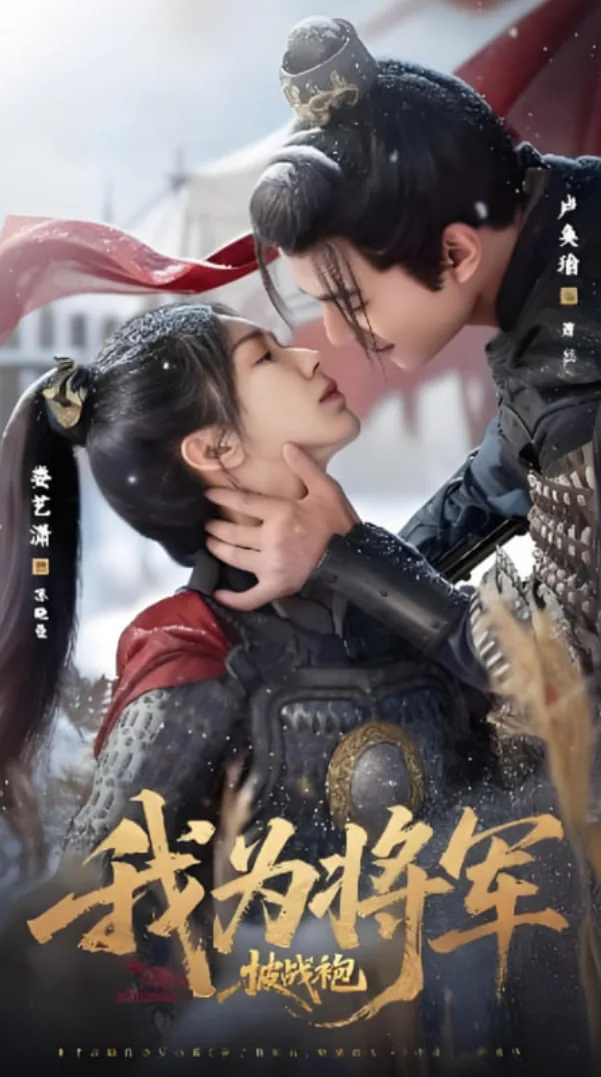 我为将军披战袍类似小说